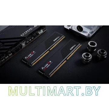 Оперативная память G.Skill Flare X5 2x24GB DDR5 PC5-41600 (F5-5200J4040A24GX2-FX5) картинка 6